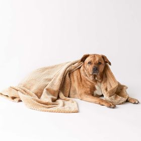 Bone Dry Microfiber Pet Blanket - 36 x 54 Taupe