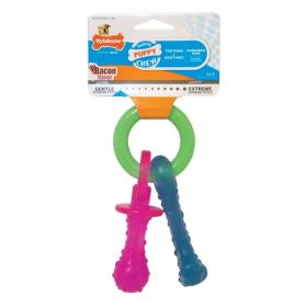 Nylabone Puppy Chew Teething Pacifier Pacifier, 1ea/SMall/Regular 1 ct