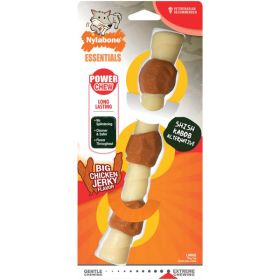 Nylabone Power Chew Shish Kabob Alternative Nylon Chew Toy Chicken Flavor, 1ea/Large  Up To 50 lb