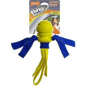 Nylabone Power Play Dog Fetch Toys FlingaBounce FlingaBounce, 1ea/Medium 1 ct