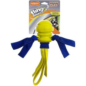 Nylabone Power Play Dog Fetch Toys FlingaBounce FlingaBounce, 1ea/Large 1 ct