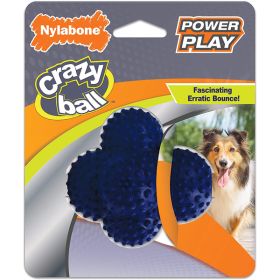 Nylabone Power Play Ball for Dogs Crazy Ball Crazy Ball, 1ea/Large 1 ct