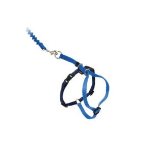 PetSafe Premier Come With Me Kitty Harness & Bungee Leash Combo Royal Blue, Navy Small